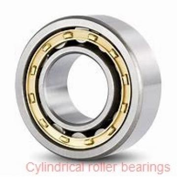 95 mm x 170 mm x 43 mm  NACHI NJ 2219 cylindrical roller bearings