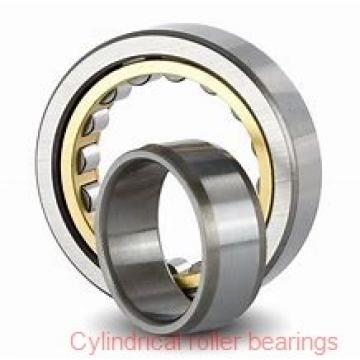 17 mm x 40 mm x 12 mm  NACHI NP 203 cylindrical roller bearings
