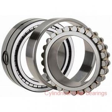 75 mm x 130 mm x 25 mm  FBJ NUP215 cylindrical roller bearings
